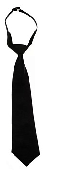 Галстук охранника, черный — купить в SIZ-ON